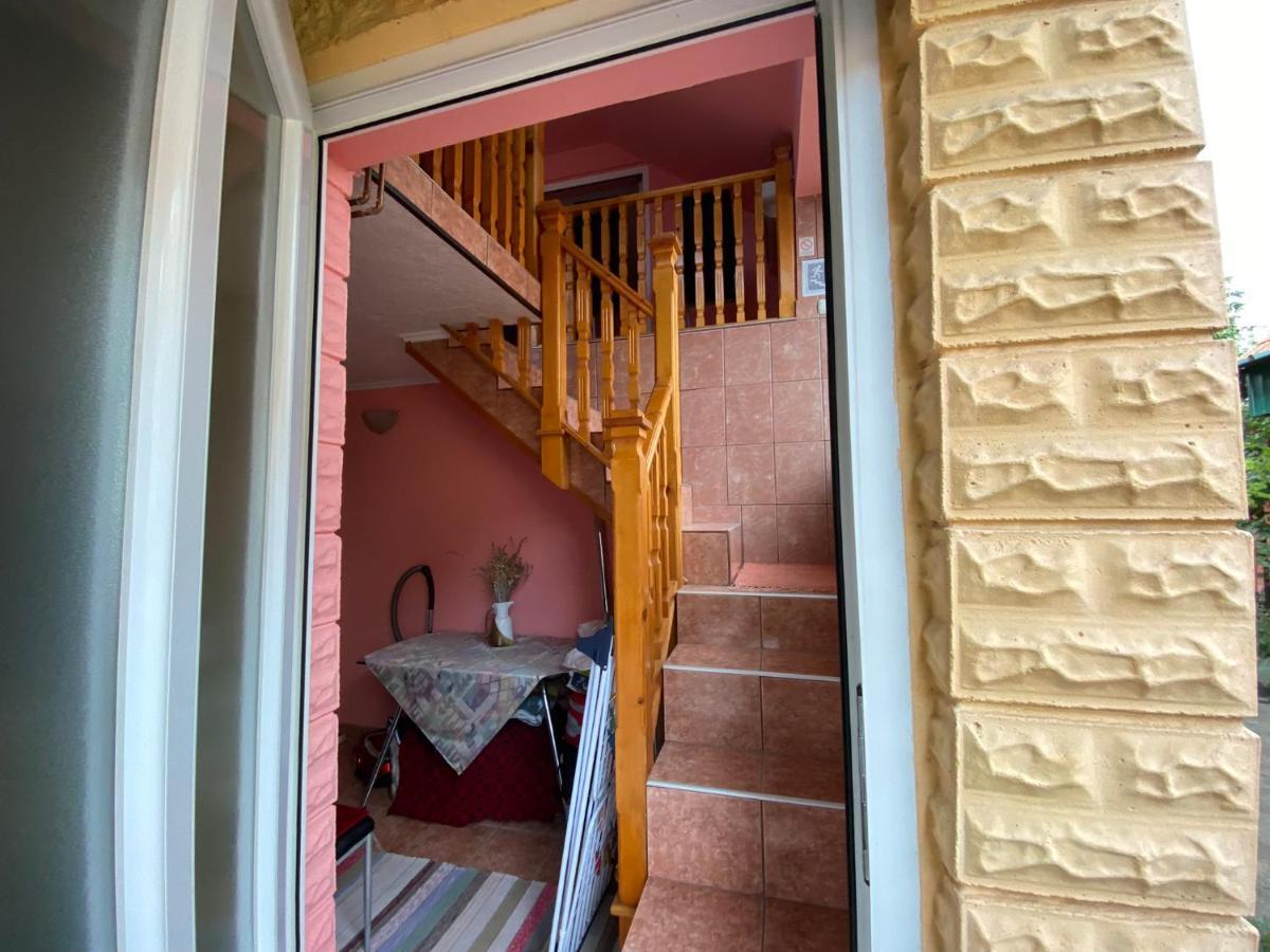 Sud ,,Antal I Olga,, Bed & Breakfast Skorenovac Luaran gambar