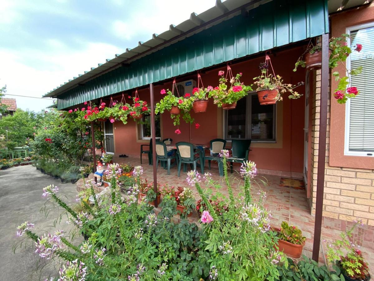 Sud ,,Antal I Olga,, Bed & Breakfast Skorenovac Luaran gambar