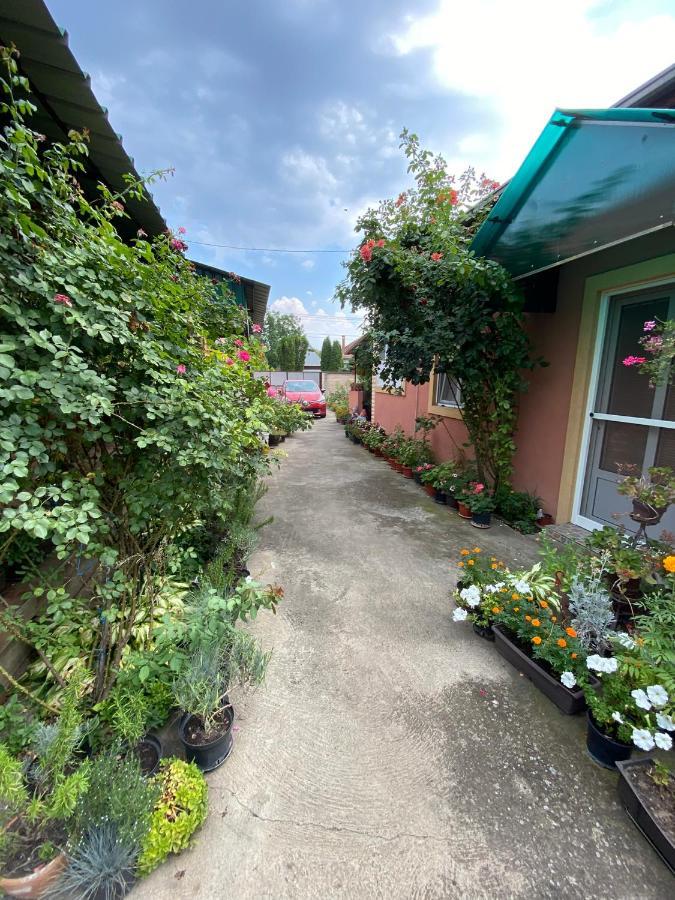 Sud ,,Antal I Olga,, Bed & Breakfast Skorenovac Luaran gambar