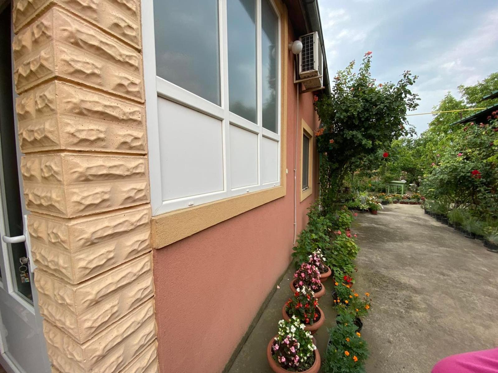 Sud ,,Antal I Olga,, Bed & Breakfast Skorenovac Bilik gambar